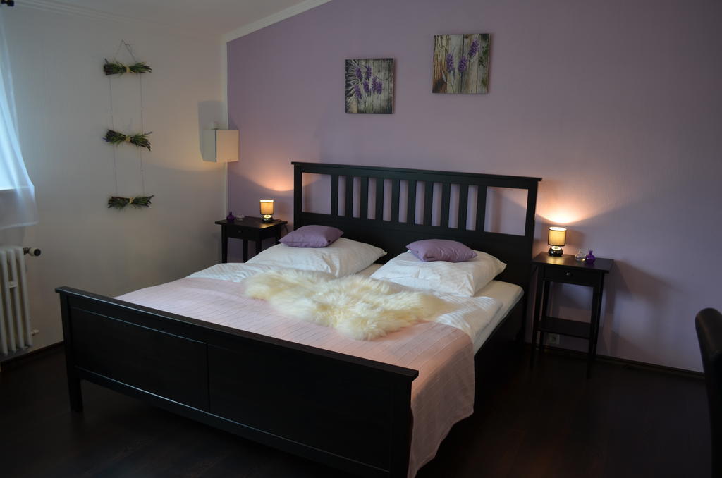 Wolfschlucht Hotel Rodgau Phòng bức ảnh